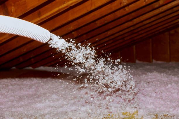 Best Best Insulation Companies  in Clyde Hill, WA