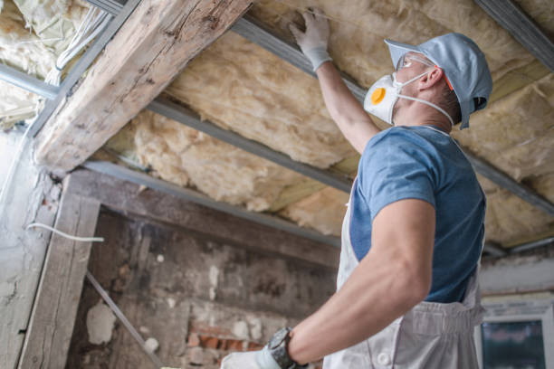 Best Wall Insulation Contractor  in Clyde Hill, WA