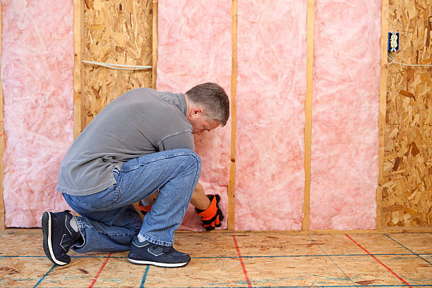 Best Blown-in Insulation  in Clyde Hill, WA