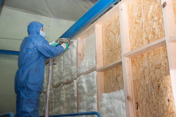 Best Cellulose Insulation  in Clyde Hill, WA