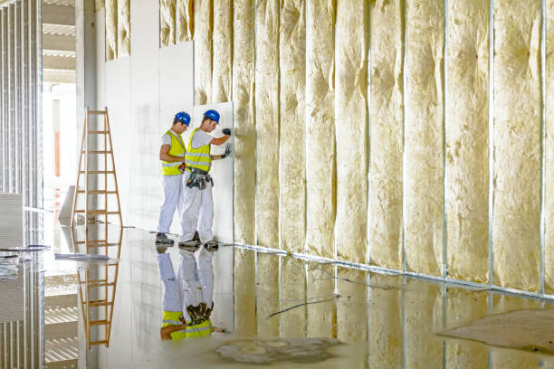 Best Insulation Contractors for Homes  in Clyde Hill, WA